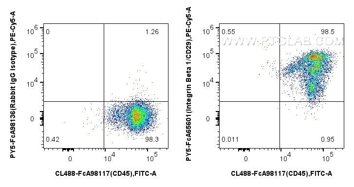 FC experiment of human PBMCs using PY5-FcA65601 FC experiment of human PBMCs using PY5-FcA65601