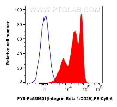 FC experiment of human PBMCs using PY5-FcA65601 FC experiment of human PBMCs using PY5-FcA65601
