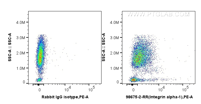 FC experiment of human peripheral blood lymphocytes  using 98675-2-RR (same clone as 98675-2-PBS)