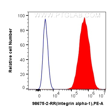 FC experiment of HeLa using 98675-2-RR (same clone as 98675-2-PBS)