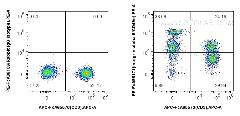 FC experiment of human PBMCs using PE-FcA98171