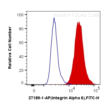 Integrin alpha 6