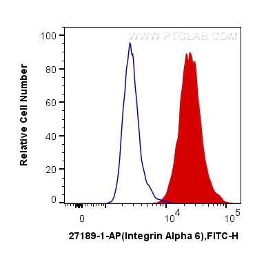 FC experiment of A431 using 27189-1-AP