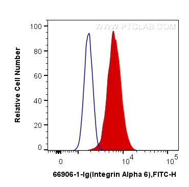 FC experiment of A431 using 66906-1-Ig