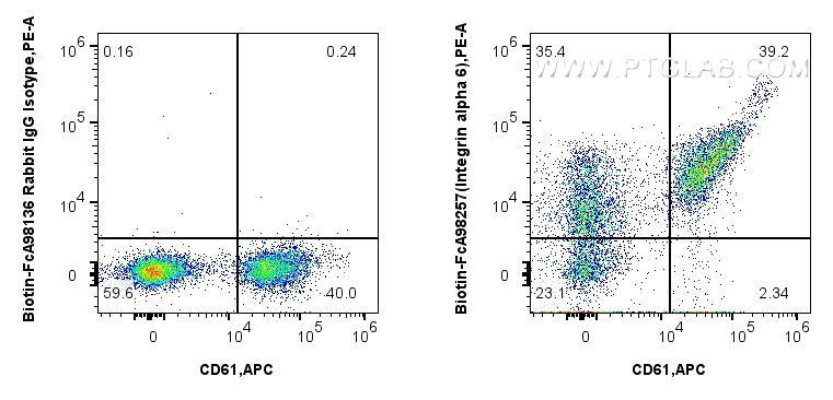 FC experiment of human peripheral blood lymphocytes using Biotin-FcA98257
