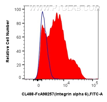 FC experiment of human PBMCs using CL488-FcA98257 FC experiment of human PBMCs using CL488-FcA98257