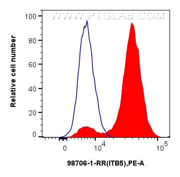 FC experiment of bEnd.3 using 98706-1-RR FC experiment of bEnd.3 using 98706-1-RR