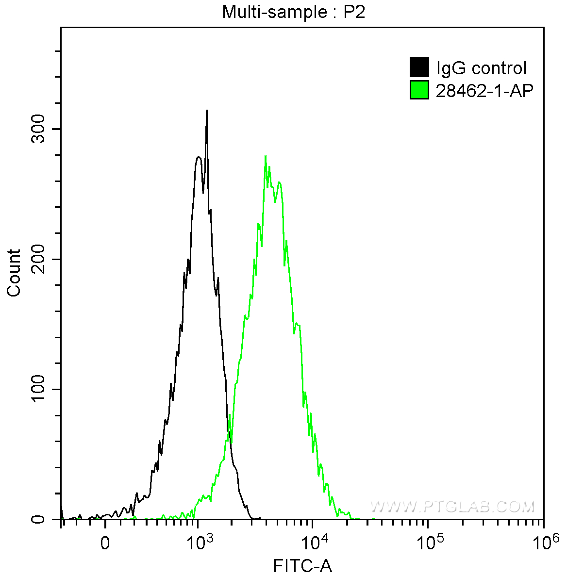 FC experiment of A431 using 28462-1-AP