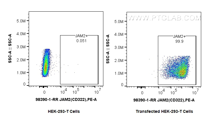 FC experiment of Transfected HEK-293T using 98390-1-RR