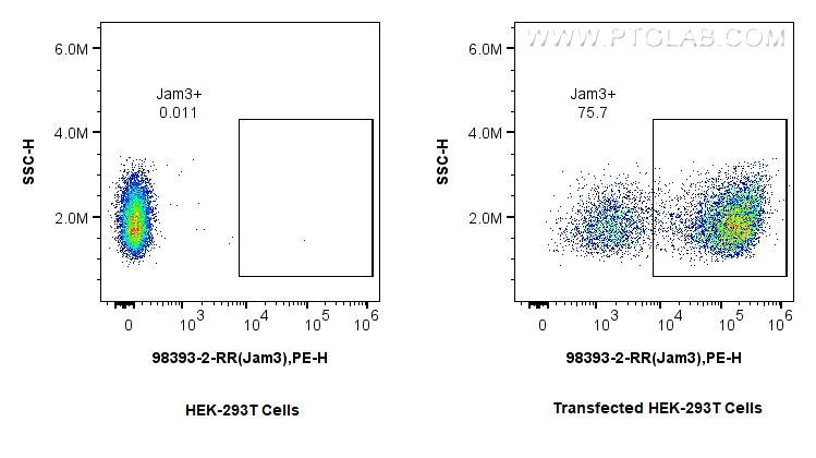 FC experiment of Transfected HEK-293T using 98393-2-RR FC experiment of Transfected HEK-293T using 98393-2-RR