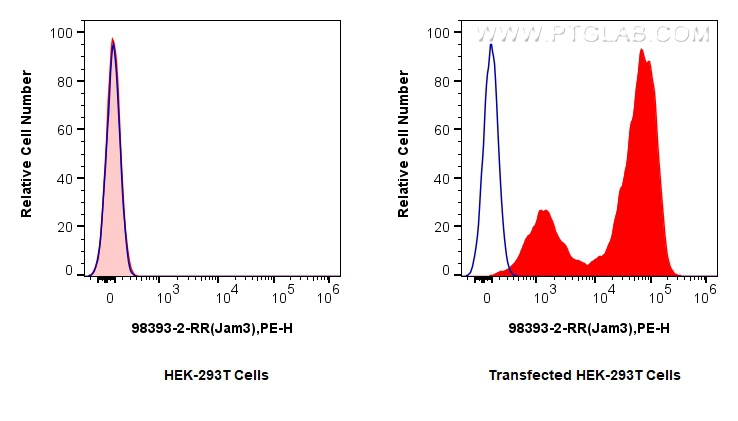 FC experiment of Transfected HEK-293T using 98393-2-RR FC experiment of Transfected HEK-293T using 98393-2-RR