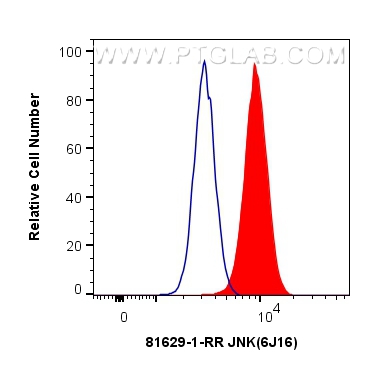 FC experiment of HeLa using 81629-1-RR (same clone as 81629-1-PBS)