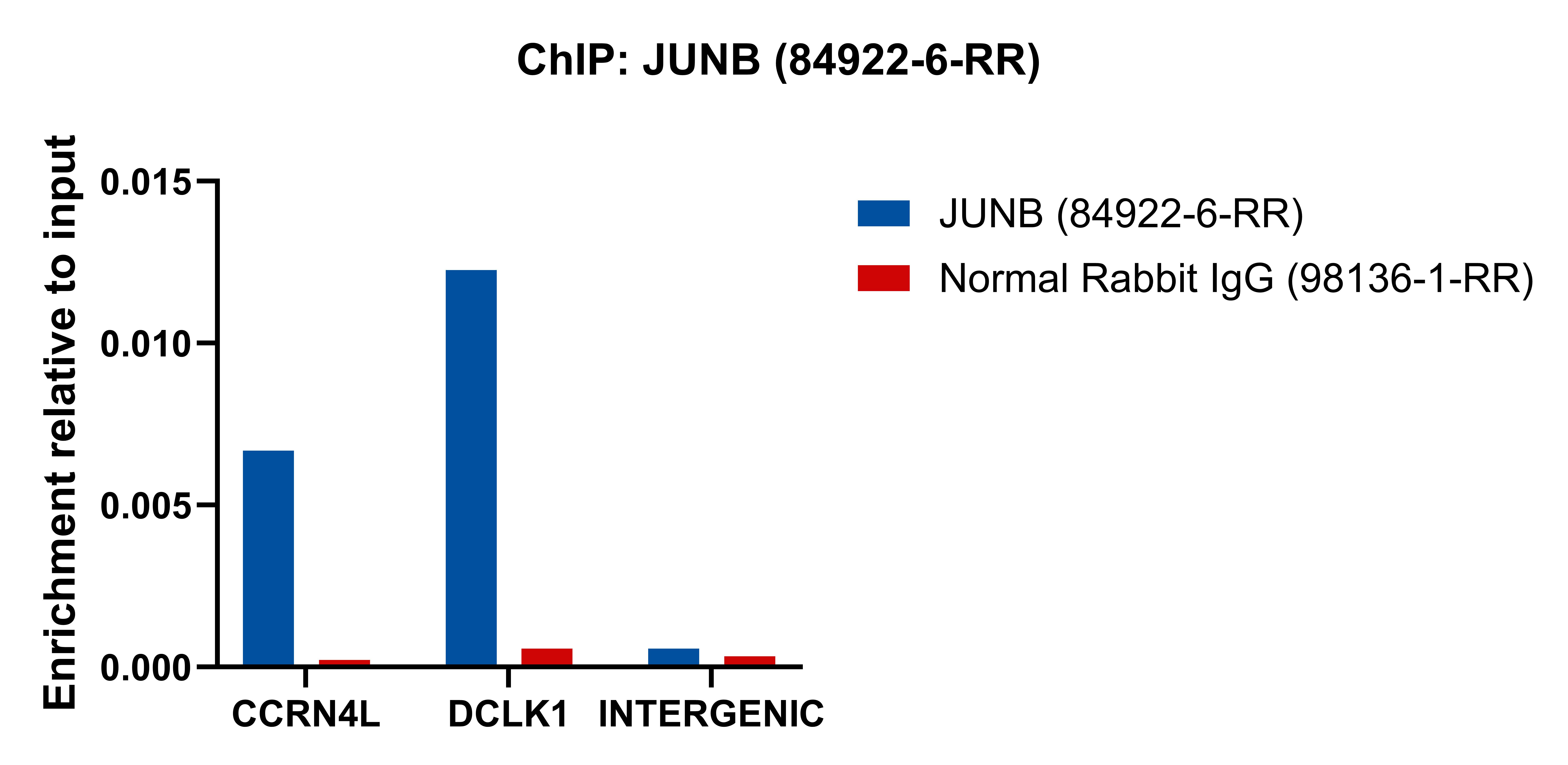 ChIP experiment of PC-12 using 84922-6-RR (same clone as 84922-6-PBS)