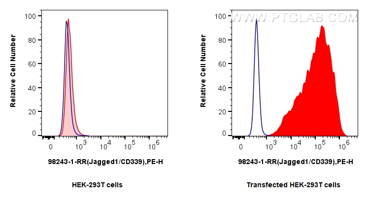 FC experiment of Transfected HEK-293T using 98243-1-RR