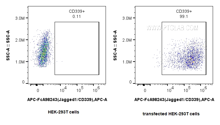 FC experiment of Transfected HEK-293T using APC-FcA98243 FC experiment of Transfected HEK-293T using APC-FcA98243