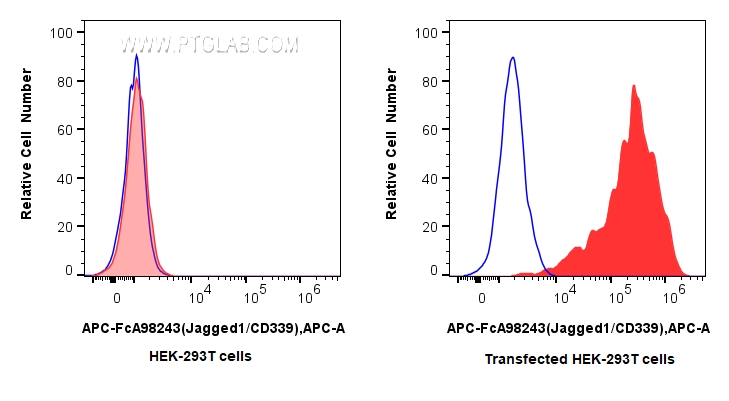 FC experiment of Transfected HEK-293T using APC-FcA98243 FC experiment of Transfected HEK-293T using APC-FcA98243