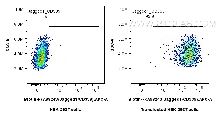 FC experiment of Transfected HEK-293T using Biotin-FcA98243