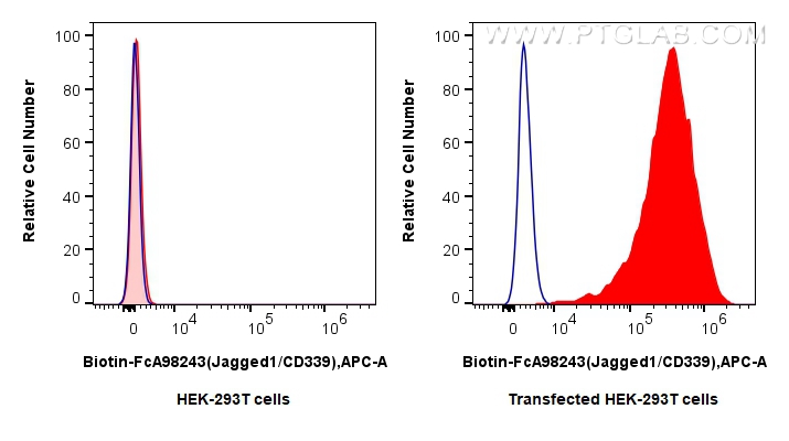 FC experiment of Transfected HEK-293T using Biotin-FcA98243