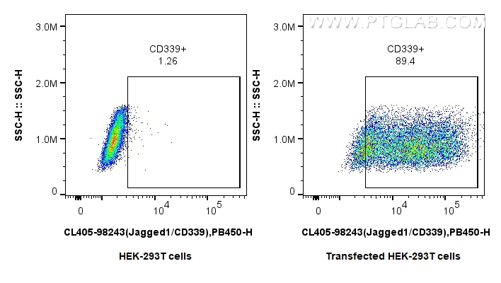 FC experiment of Transfected HEK-293T using CL405-98243