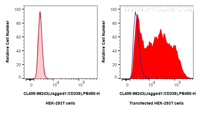 FC experiment of Transfected HEK-293T using CL405-98243