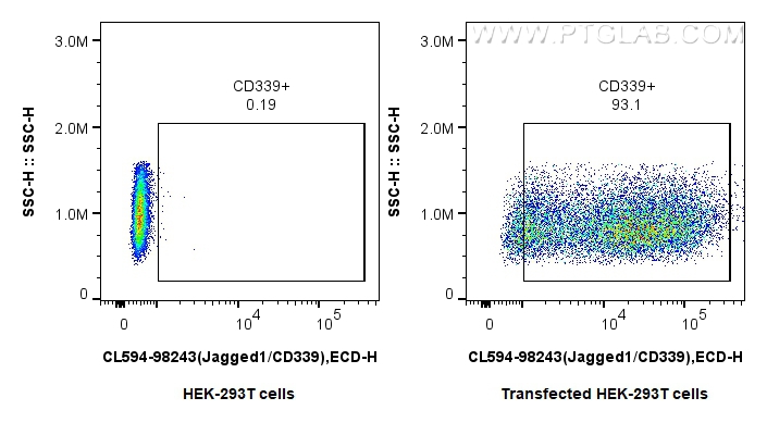 FC experiment of Transfected HEK-293T using CL594-98243