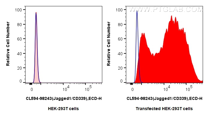 FC experiment of Transfected HEK-293T using CL594-98243