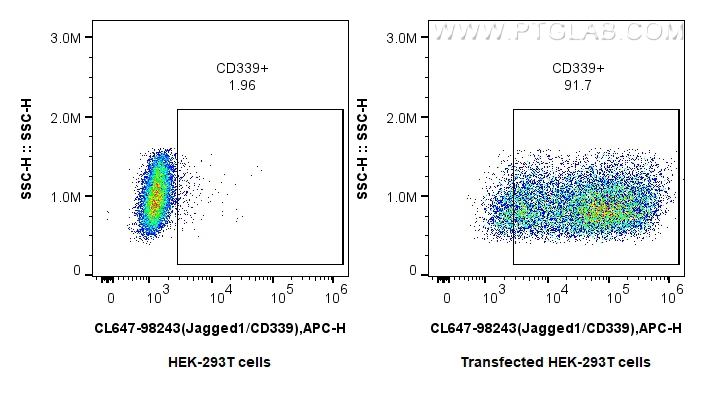 FC experiment of Transfected HEK-293T using CL647-98243