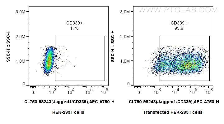 FC experiment of Transfected HEK-293T using CL750-98243