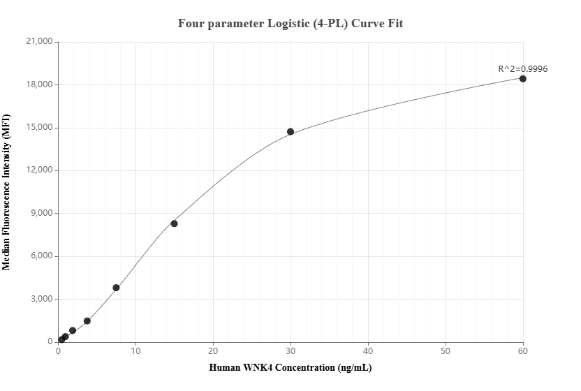 Cytometric bead array standard curve of MP02181-2, WNK4 Recombinant Matched Antibody Pair, PBS Only. Capture antibody: 85886-3-PBS. Detection antibody: 85886-1-PBS. Standard: Ag17773. Range: 0.469-60 ng/mL.