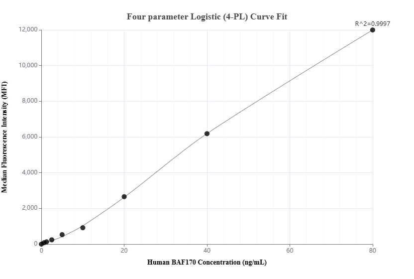 Cytometric bead array standard curve of MP02458-1, BAF170 Recombinant Matched Antibody Pair, PBS Only. Capture antibody: 86473-2-PBS. Detection antibody: 86473-1-PBS. Standard: Ag2634. Range: 0.625-80 ng/mL.