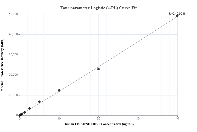 Cytometric bead array standard curve of MP02896-1, EBP50/NHERF-1 Recombinant Matched Antibody Pair, PBS Only. Capture antibody: 87174-2-PBS. Detection antibody: 87174-1-PBS. Standard: Ag30878. Range: 0.312-40 ng/mL.