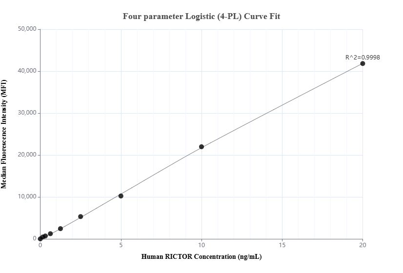 Cytometric bead array standard curve of MP03681-1, RICTOR Recombinant Matched Antibody Pair, PBS Only. Capture antibody: 88855-3-PBS. Detection antibody: 88855-2-PBS. Standard: Ag25649. Range: 0.156-20 ng/mL. Cytometric bead array standard curve of MP03681-1, RICTOR Recombinant Matched Antibody Pair, PBS Only. Capture antibody: 88855-3-PBS. Detection antibody: 88855-2-PBS. Standard: Ag25649. Range: 0.156-20 ng/mL.
