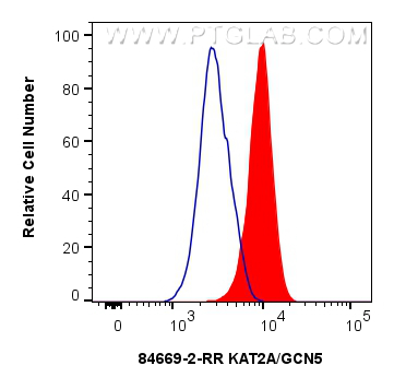FC experiment of HEK-293 using 84669-2-RR (same clone as 84669-2-PBS)