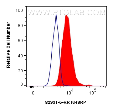 FC experiment of HeLa using 82931-5-RR (same clone as 82931-5-PBS)