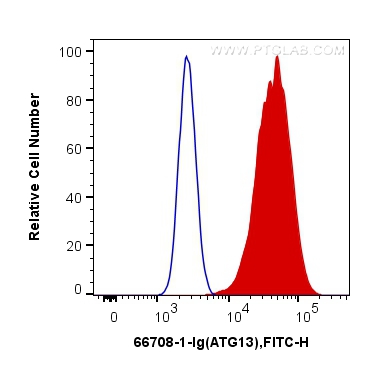 FC experiment of HeLa using 66708-1-Ig