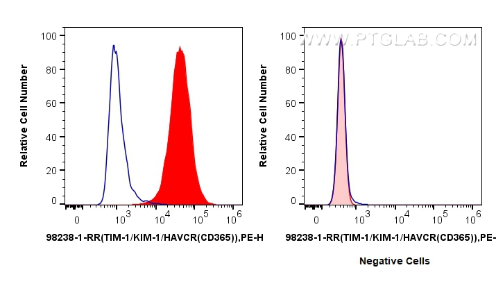 FC experiment of HuH-7 using 98238-1-RR (same clone as 98238-1-PBS)