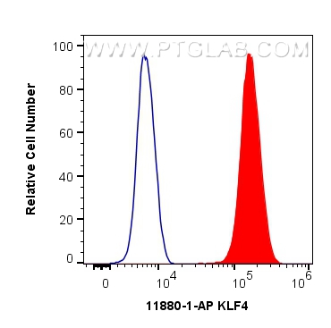 FC experiment of HeLa using 11880-1-AP