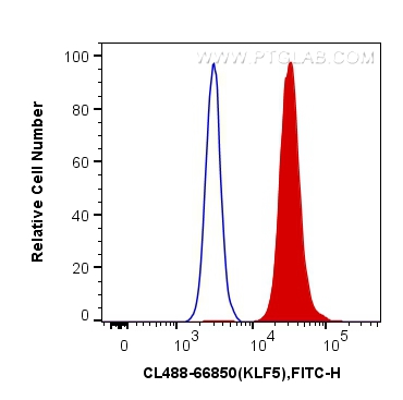 FC experiment of HeLa using CL488-66850