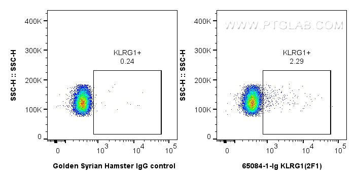 FC experiment of mouse splenocytes using 65084-1-Ig
