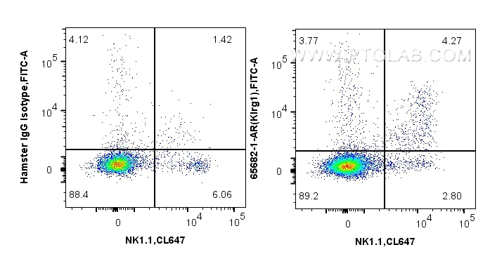 FC experiment of mouse splenocytes using 65682-1-AR FC experiment of mouse splenocytes using 65682-1-AR