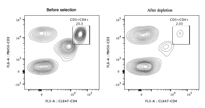 Following depletion of CD4 cells, supernatant cell suspension was stained with PB450-CD3(clone: HIT3a) and CL647-CD4(clone: OKT4). CD45+ cells are gated in the analysis. Left panel: CD3+CD4+ cells before selection. Right panel: CD3+CD4+ cells after depletion. Streptavidin Magnetic beads are tested using PBMC from three different donors.