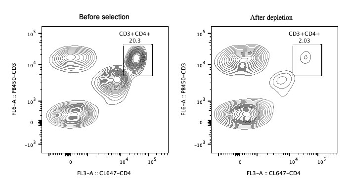 Following depletion of CD4+ cells, supernatant cell suspension was stained with PB450-CD3(clone: HIT3a) and CL647-CD4(clone: OKT4). CD45+ cells are gated in the analysis. Left panel: CD3+CD4+ cells before selection. Right panel: CD3+CD4+ cells after depletion. Human CD4 magnetic beads kit is tested using PBMC from three donors.