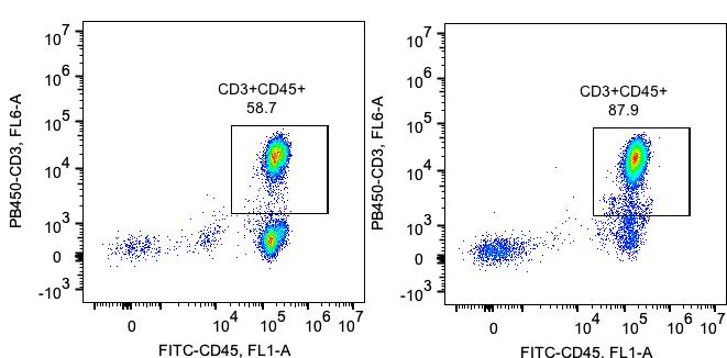 Following enrichment, cell suspension was stained with PB450-CD3 (UCHT1) and FITC-CD45 (HI30) antibodies. All viable cells are gated in the analysis. Left: CD45+/CD3+ cells before enrichment. Right: CD45+/CD3+ cells after enrichment. Human CD3 T cell isolation kit is tested using PBMC from three donors.