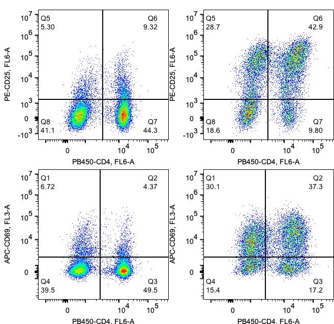 2.5x10^6 human CD3+ lymphocytes purified by Human CD3 T Cell Isolation Kit (KMS309) in 0.5mL cell culture media are activated by Human CD3/CD28 T Cell Activation Beads Kit for 3 days at a 1:1 bead to cell ratio. Unstimulated cells (left panel) and stimulated cells (right panel) are stained with fluorescence flow antibodies APC-CD69, PE-CD25 and PB-CD4. Total viable lymphocytes are gated. The activation effect of the Human CD3/CD28 T Cell Activation Beads Kit was tested on human PBMCs from three different donors.