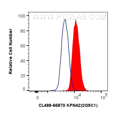 FC experiment of HEK-293T using CL488-66870