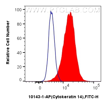 FC experiment of A431 using 10143-1-AP