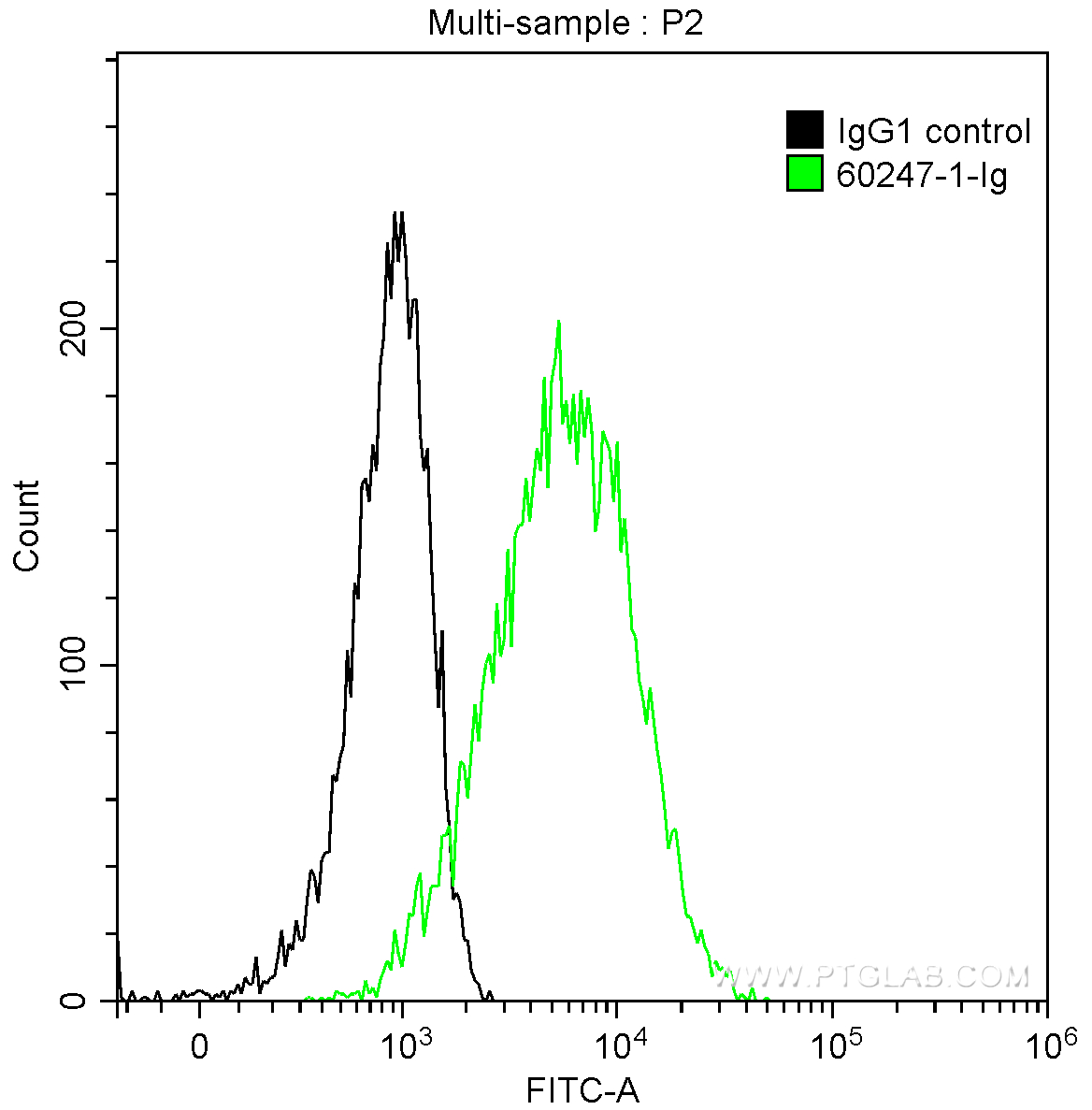 FC experiment of A431 using 60247-1-Ig