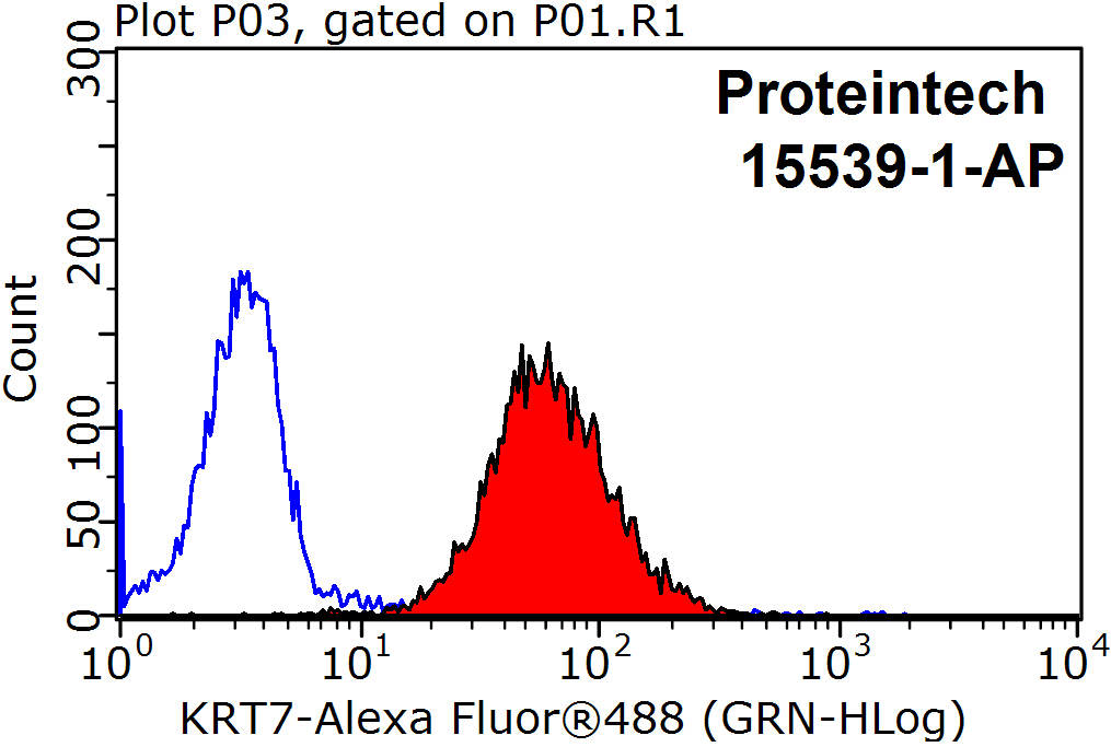 Cytokeratin 7