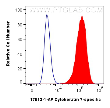 1x10^6 HeLa cells were intracellularly stained with 0.25 ug Cytokeratin 7-specific Polyclonal antibody (17513-1-AP) and CoraLite®488-Conjugated Goat Anti-Rabbit IgG(H+L) (<a class='green' href='/productredirect?CatalogNo=SA00013-2' target='_blank'>SA00013-2</a>)(red), or 0.25 ug Isotype Control (blue). Cells were fixed and permeabilized with Intracellular Flow Cytometry Fixation & Permeabilization Buffer Kit (<a class='green' href='/productredirect?CatalogNo=PF00019' target='_blank'>PF00019</a>). FC experiment of HeLa using 17513-1-AP
