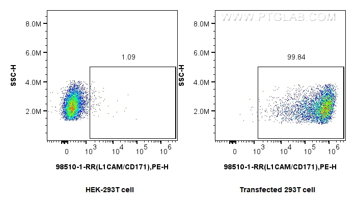 FC experiment of Transfected HEK-293T using 98510-1-RR (same clone as 98510-1-PBS) FC experiment of Transfected HEK-293T using 98510-1-RR (same clone as 98510-1-PBS)